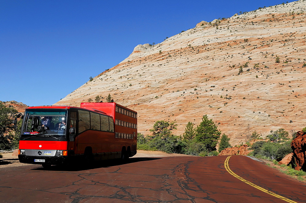 Rotel coach next to Checkerboard Mesa, sandstone, Zion National Park, Utah, USA, North America