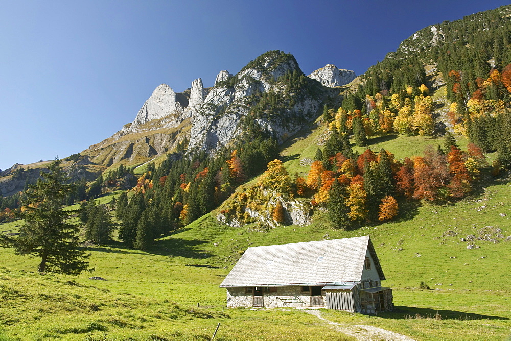 Alpine hut in an autumn landscape in the Appenzell region near the Bogarten and Dreifaltigkeit mountains, Bruellisau, Canton of Appenzell, Switzerland, Europe