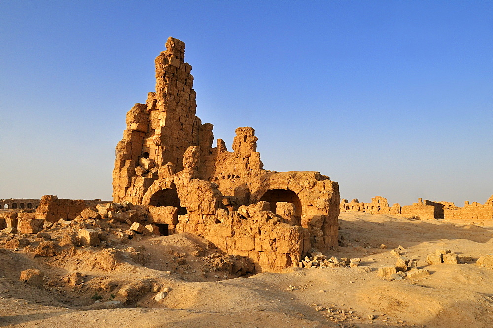 Byzantine ruins at the archeological site of Resafa, Sergiopolis, near the Euphrates, Syria, Middle East, West Asia