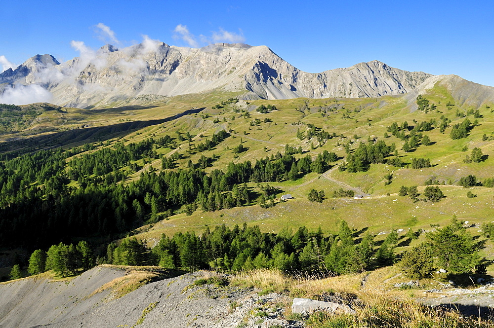 Panorama over Col des Champs, Mercantour National Park, Haute Verdon mountains, Alpes de Haute Provence, France, Europe