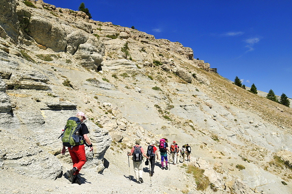 Hiking, trekking group in the Haute Verdon mountains, Alpes-de-Haute-Provence, France, Europe