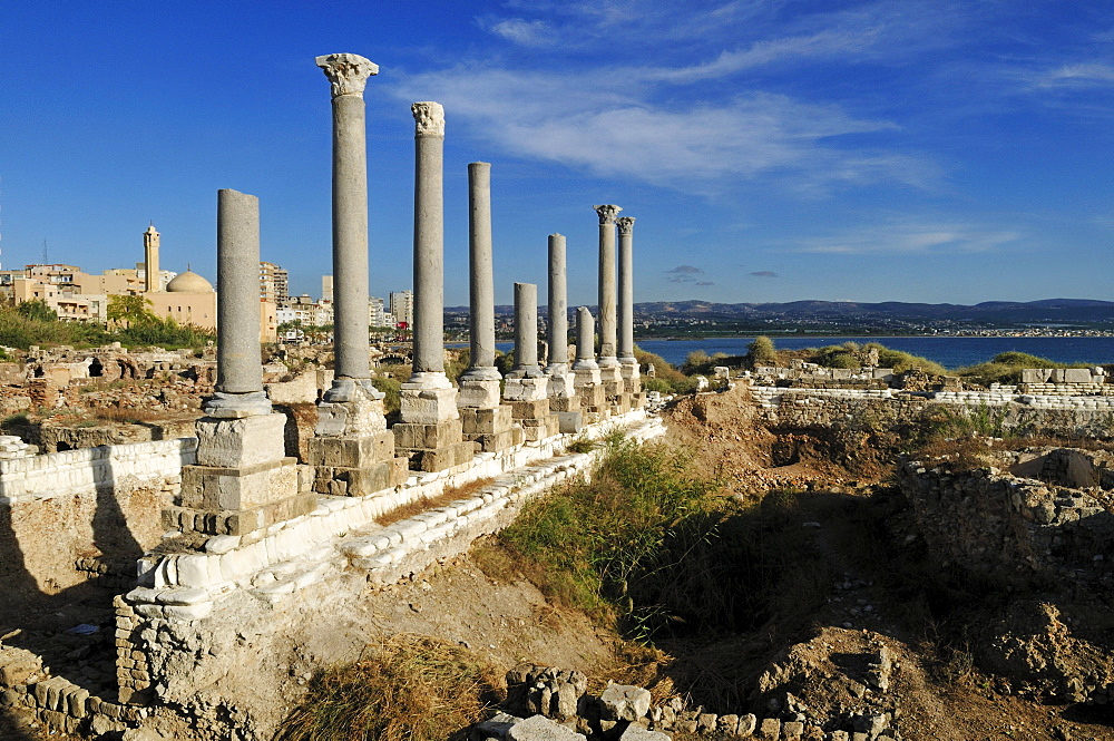 Antique archeological site of Tyros, Tyre, Sour, Unesco World Heritage Site, Lebanon, Middle East, West Asia