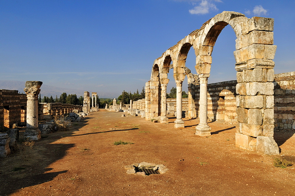 Ancient Umayyad ruins at the archeological site of Anjar, Unesco World Heritage Site, Bekaa Valley, Lebanon, Middle East, West Asia