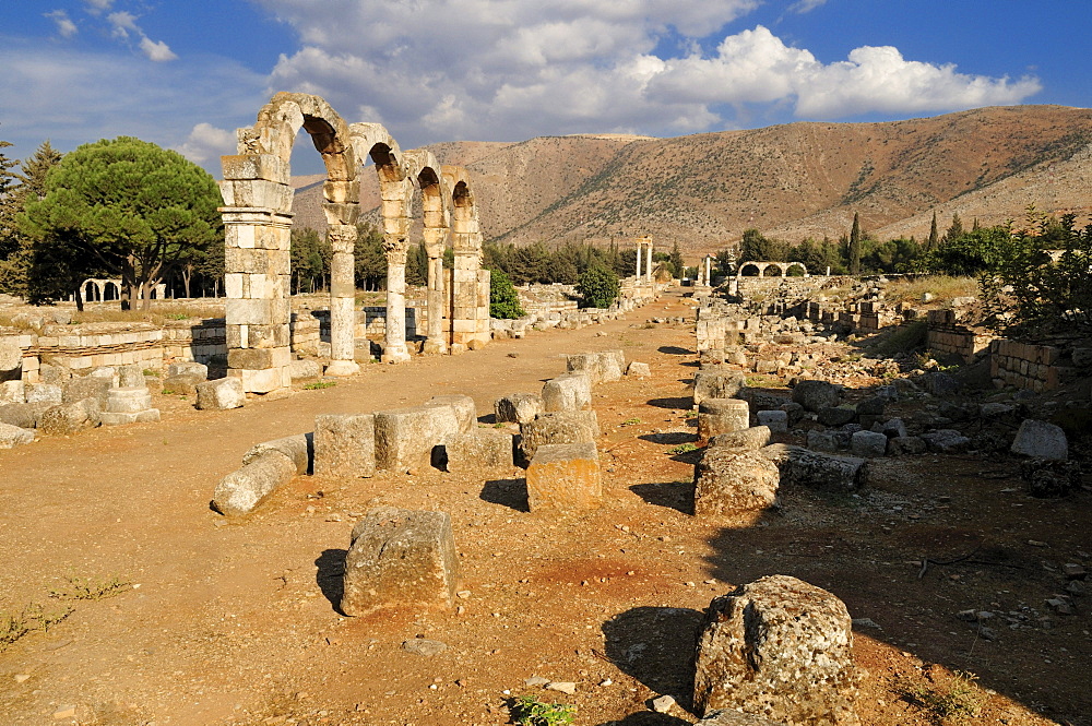 Ancient Umayyad ruins at the archeological site of Anjar, Unesco World Heritage Site, Bekaa Valley, Lebanon, Middle East, West Asia