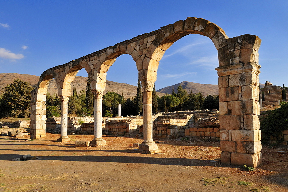 Antique Umayyad ruins at the archeological site of Anjar, Unesco World Heritage Site, Bekaa Valley, Lebanon, Middle East, West Asia