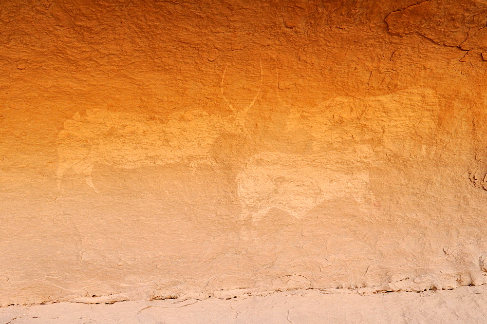 Neolithic rock art, painting of cows or bulls, Tasset Plateau, Tassili n'Ajjer National Park, Unesco World Heritage Site, Wilaya Illizi, Algeria, Sahara, North Africa