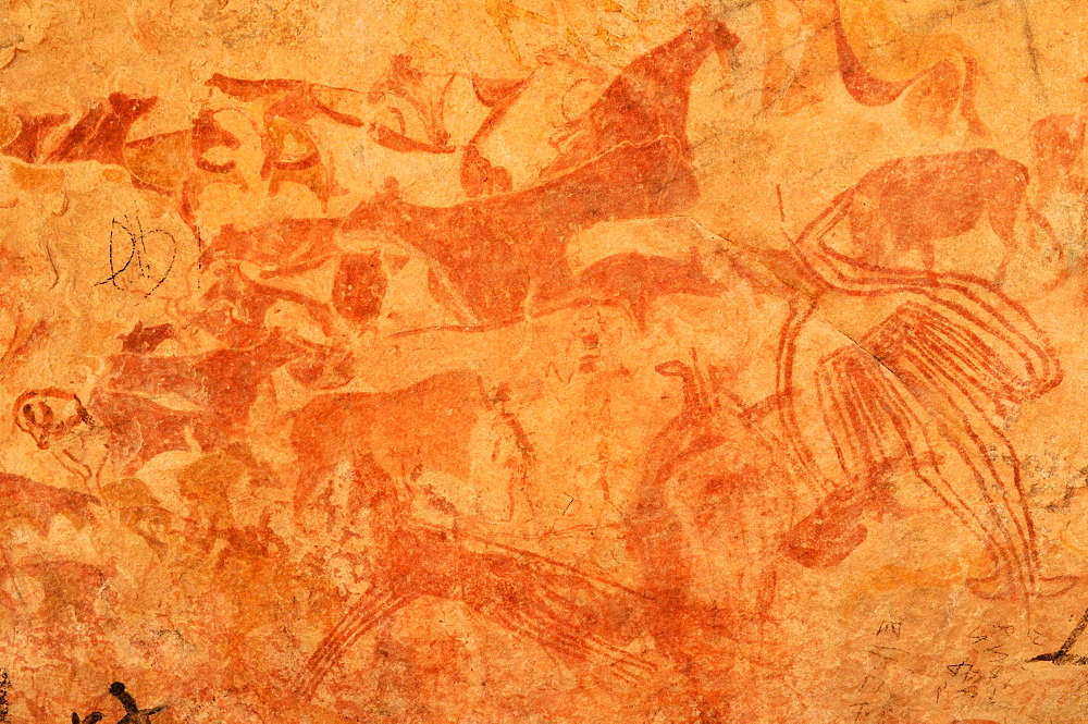 Neolithic rock art, painting of animals and people, Tasset Plateau, Tassili n'Ajjer National Park, Unesco World Heritage Site, Wilaya Illizi, Algeria, Sahara, North Africa