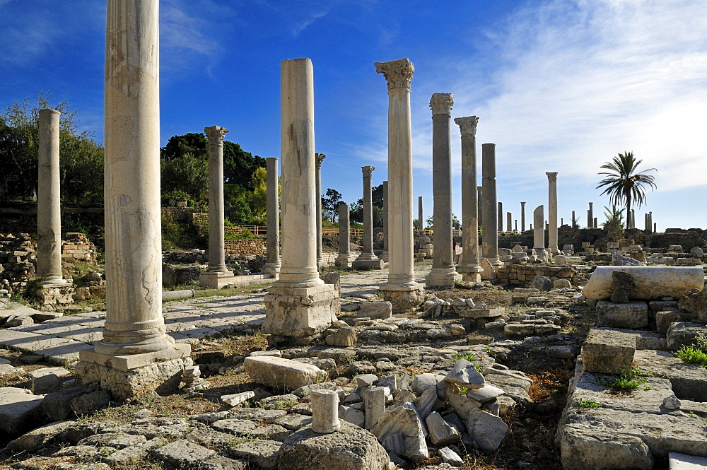 Antique archeological site of Tyros, Tyre, Sour, Unesco World Heritage Site, Lebanon, Middle East, West Asia