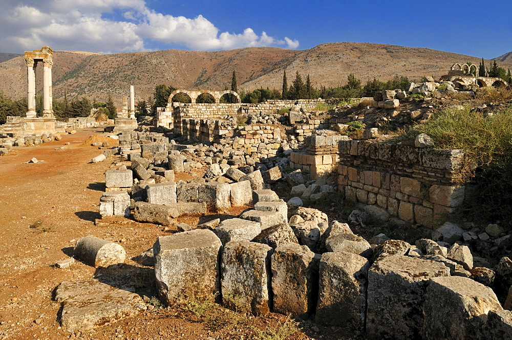 Antique Umayyad ruins at the archeological site of Anjar, Aanjar, Unesco World Heritage Site, Bekaa Valley, Lebanon, Middle East, West Asia