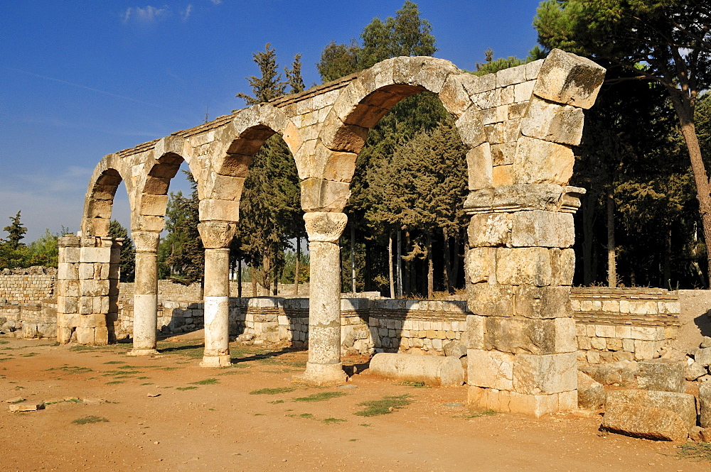 Antique Umayyad ruins at the archeological site of Anjar, Aanjar, Unesco World Heritage Site, Bekaa Valley, Lebanon, Middle East, West Asia