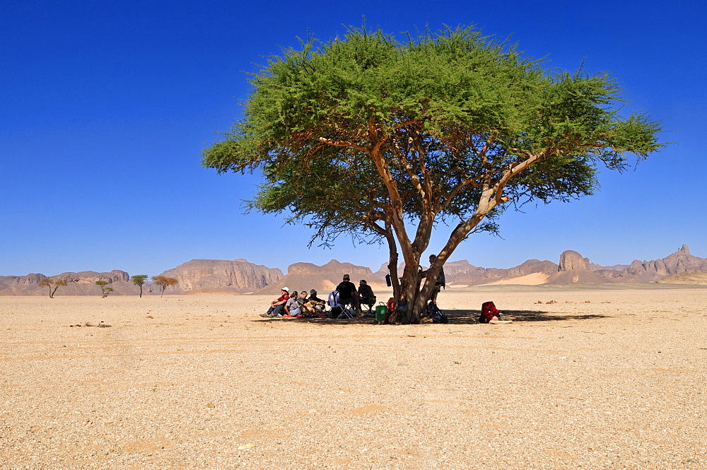 Group of tourists resting under an acacia tree, Tassili n'Ajjer National Park, Unesco World Heritage Site, Wilaya Illizi, Algeria, Sahara, North Africa