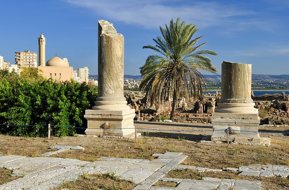 Antique archeological site of Tyros, Tyre, Sour, Unesco World Heritage Site, Lebanon, Middle east, West Asia