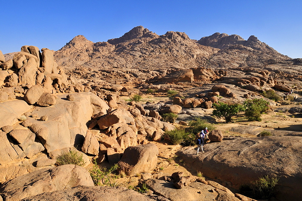 Group of tourists hiking through granite landscape, Hoggar, Ahaggar Mountains, Wilaya Tamanrasset, Algeria, Sahara, North Africa