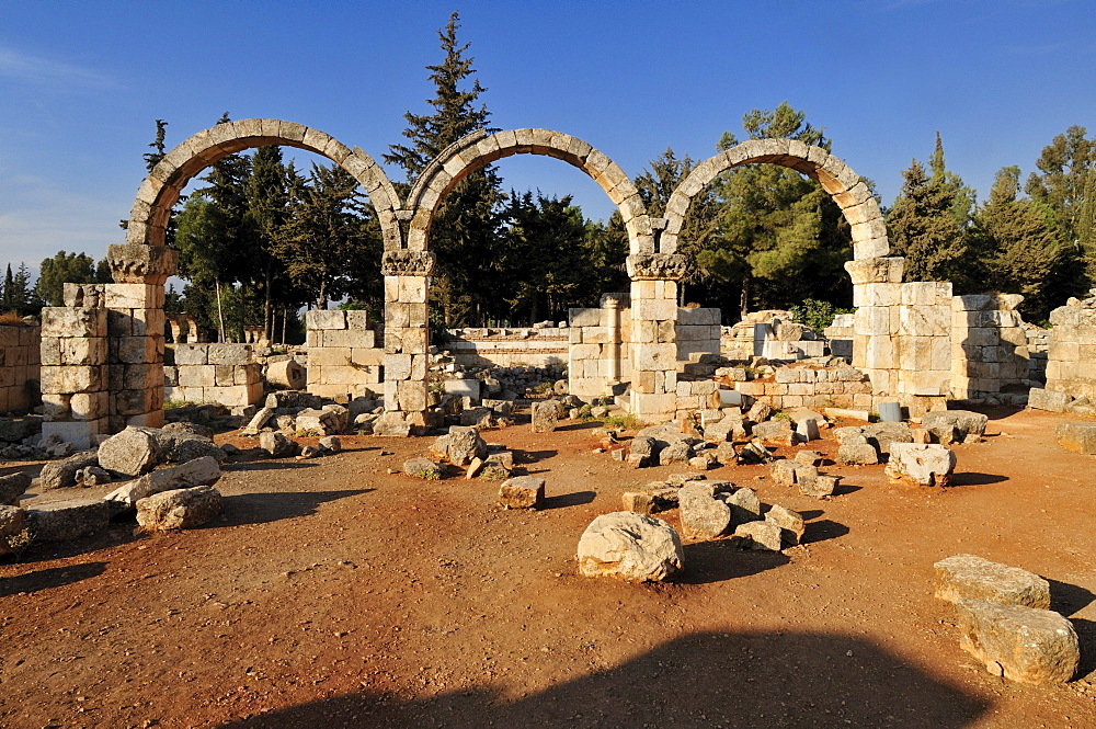 Antique Umayyad ruins at the archeological site of Anjar, Aanjar, Unesco World Heritage Site, Bekaa Valley, Lebanon, Middle East, West Asia