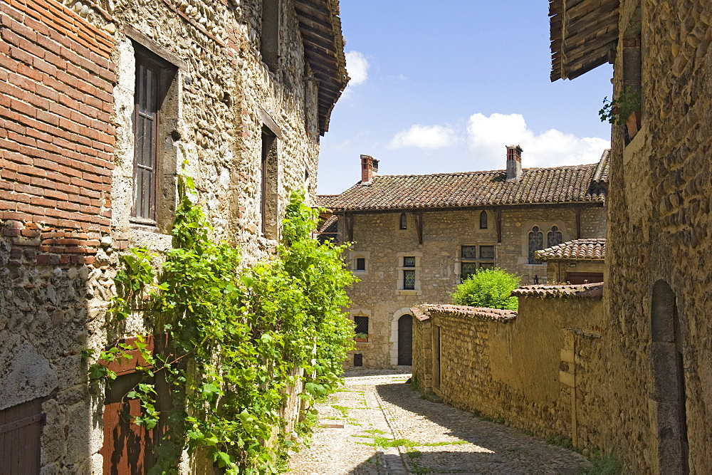 Cobblestone street, medieval walled town of Perouges, France, Europe