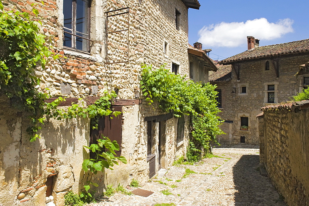 Cobblestone street, medieval walled town of Perouges, France, Europe