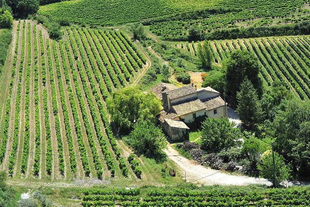 Farm near Vaison-la-Romaine, Vaucluse department, Provence-Alpes-Cote dÃƒÂ­Azur region, France, Europe