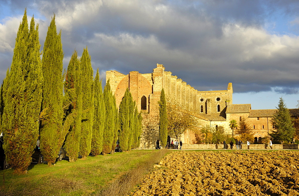 Ruins of San Galgano Abbey, Tuscany region, Italy, Europe