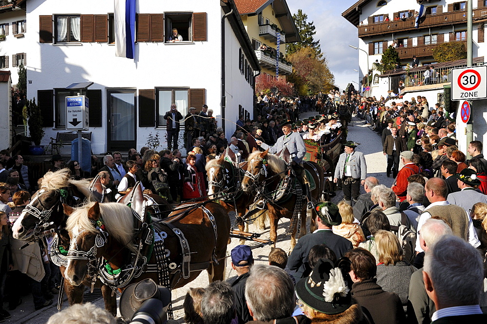 Leonhardifahrt, a procession with horses for the feast day of Saint Leonard of Noblac, Bad Toelz, Upper Bavaria, Bavaria, Germany, Europe