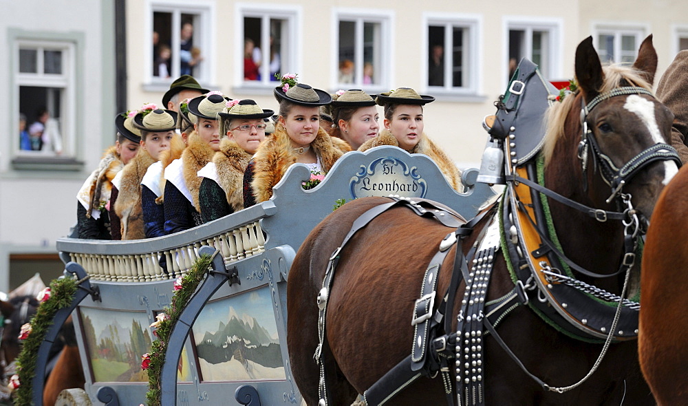 Leonhardifahrt, a procession with horses for the feast day of Saint Leonard of Noblac, Bad Toelz, Upper Bavaria, Bavaria, Germany, Europe