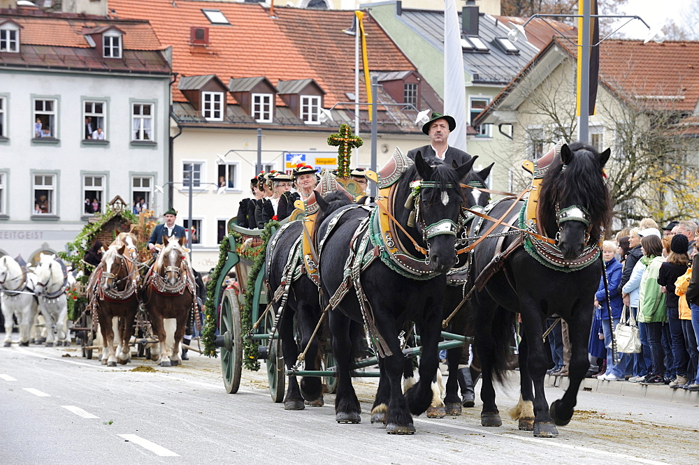 Leonhardifahrt, a procession with horses for the feast day of Saint Leonard of Noblac, Bad Toelz, Upper Bavaria, Bavaria, Germany, Europe