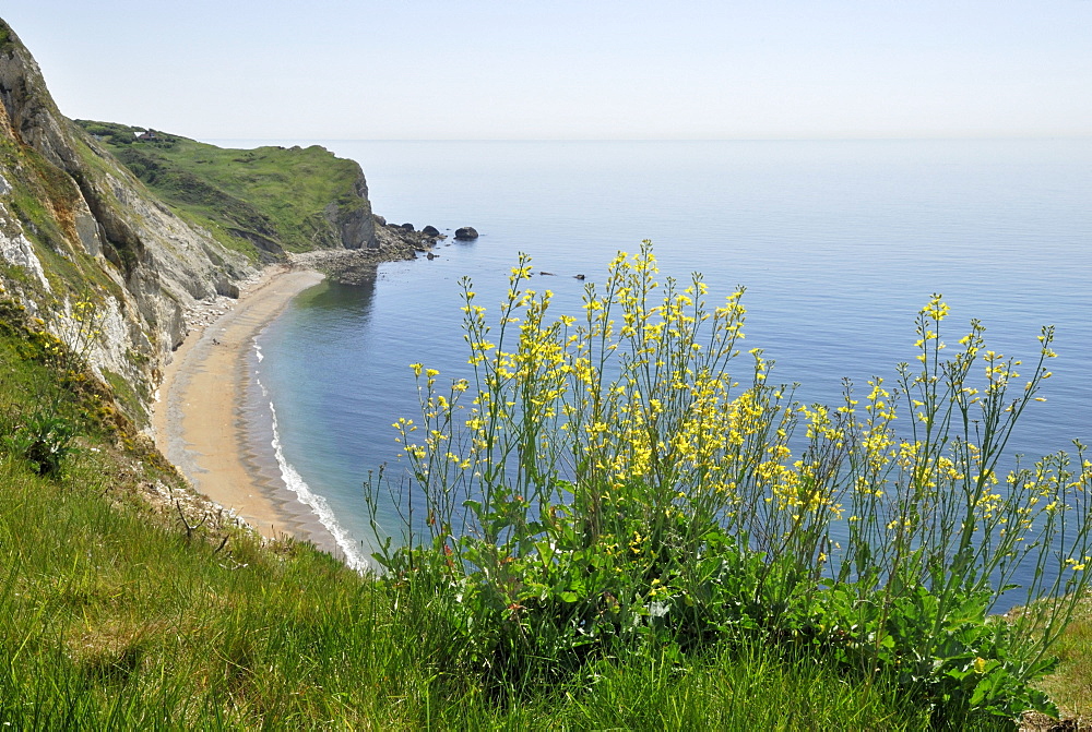 St. Oswald's Bay, Lulworth, Dorset, southern England, England, United Kingdom, Europe