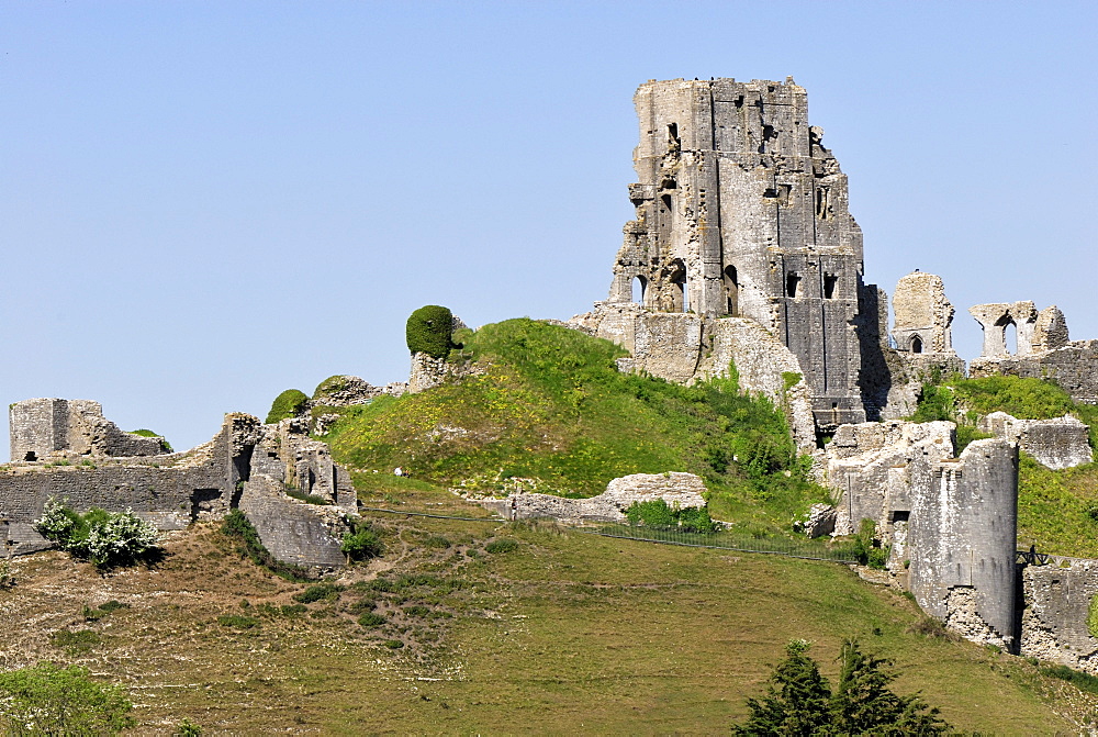 Corfe castle ruin, located in Corfe Castle Village, Dorset, southern England, England, UK, Europe