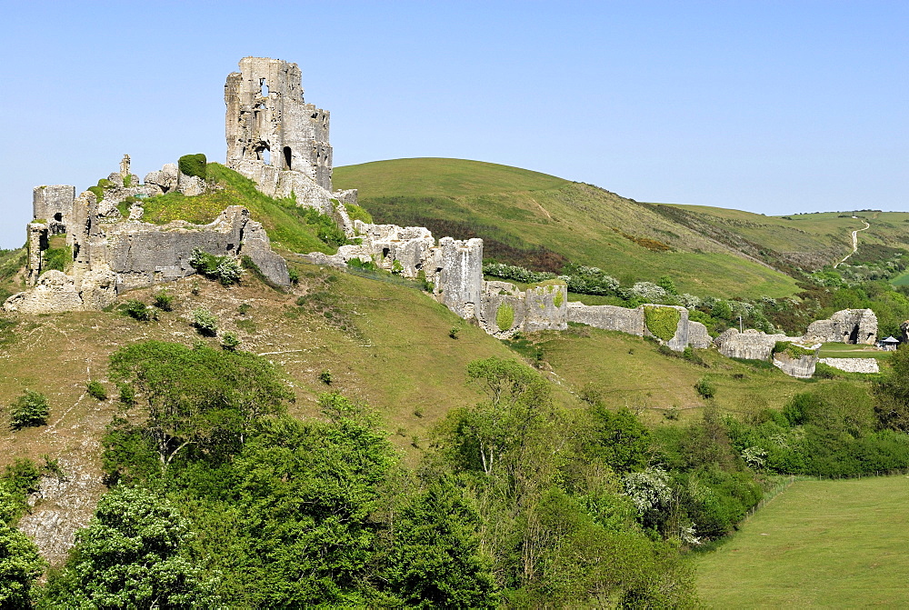 Corfe castle ruin, located in Corfe Castle Village, Dorset, southern England, England, UK, Europe