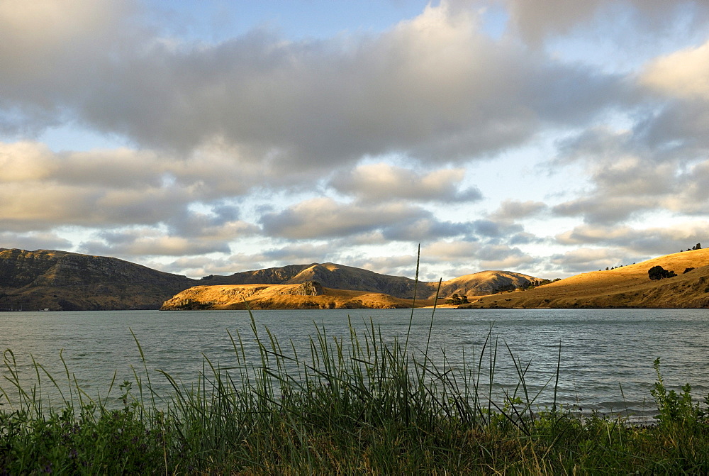 Evening at the Bay of Port Levy, Banks Peninsula near Christchurch, South Island, New Zealand