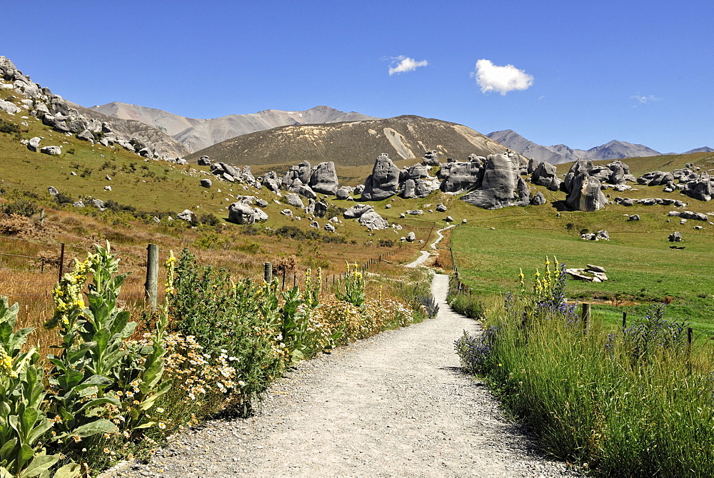 Footpath to the Castle Hill Limestone Rocks, Kura Tawhiti Conservation Area, Selwyn District, South Island, New Zealand