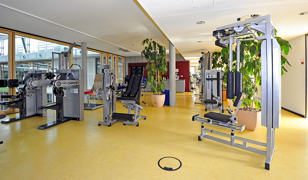 Medical treatment room for back training according to the DAVID concept, an apparatus-supported method for the analysis and improvement of the functional condition of the spine