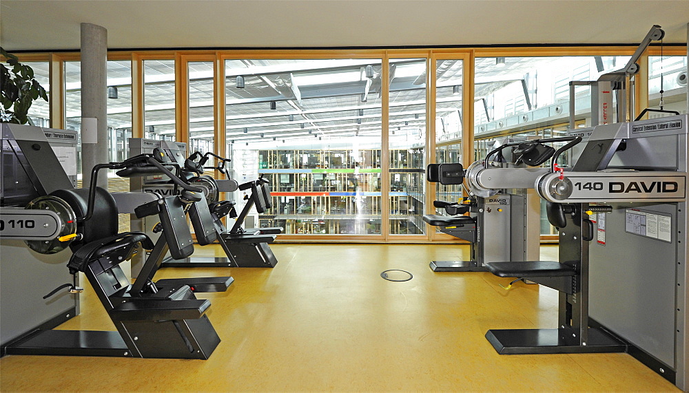 Medical treatment room for back training according to the DAVID concept, an apparatus-supported method for the analysis and improvement of the functional condition of the spine