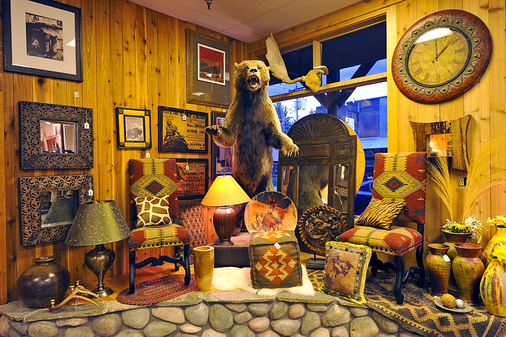 Interior, typical gift shop with Grizzly, Jackson, Grand Teton National Park, Wyoming, United States of America, USA