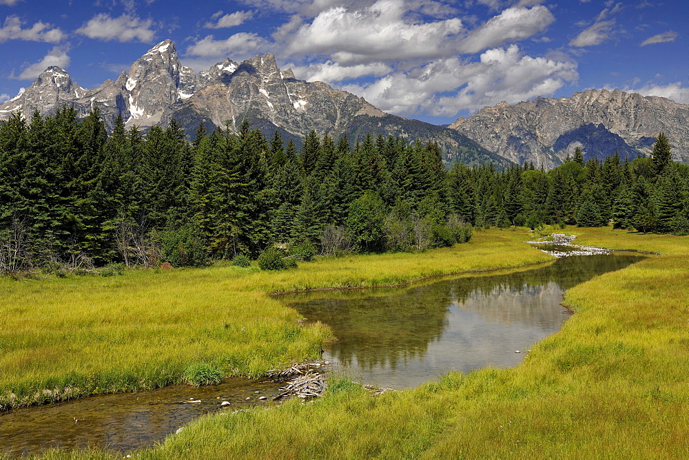 Snake River, Schwabacher Landing, in front of the Teton Range, Grand Teton National Park, Wyoming, United States of America, USA