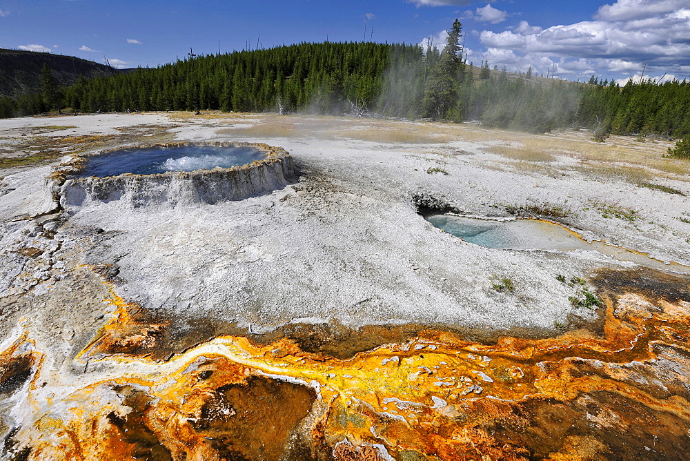 Punch Bowl Spring, geyser, drainage area, coloured thermophilic bacteria, microorganisms, Black Sand Basin, Upper Geyser Basin, Yellowstone National Park, Wyoming, United States of America, USA