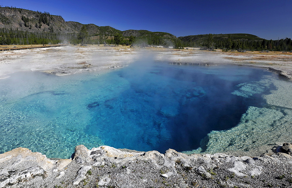 Sapphire Pool, geyser, Biscuit Basin, Upper Geyser Basin, Yellowstone National Park, Wyoming, United States of America, USA