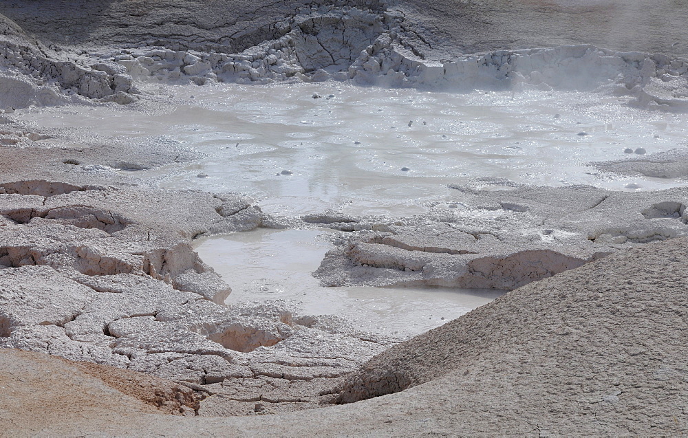 Fountain Paint Pots, mud pots, Firehole Lake Drive, Lower Geyser Basin, Yellowstone National Park, Wyoming, United States of America, USA