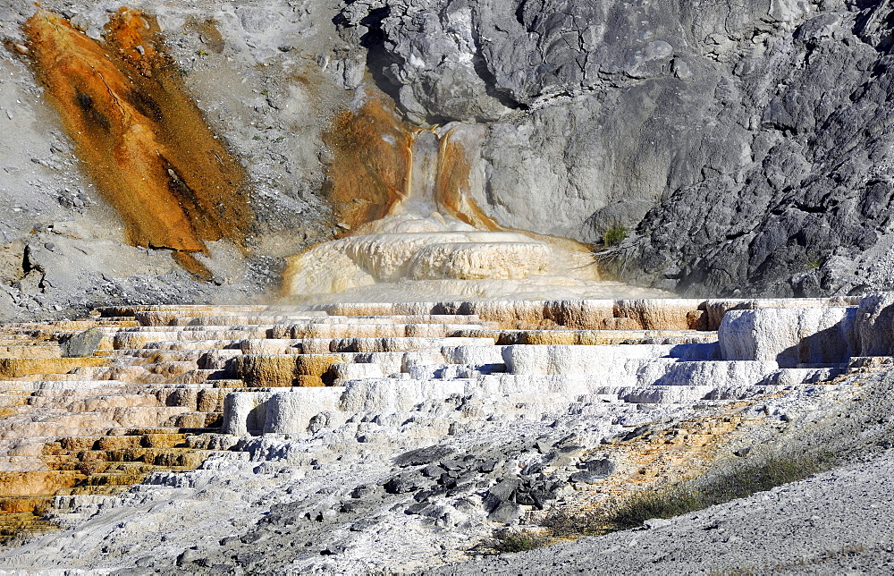 Minerva Spring Terrace, Lower Terraces, limestone sinter terraces, geysers, hot springs, Mammoth Hot Springs Terraces in Yellowstone National Park, Wyoming, United States of America, USA