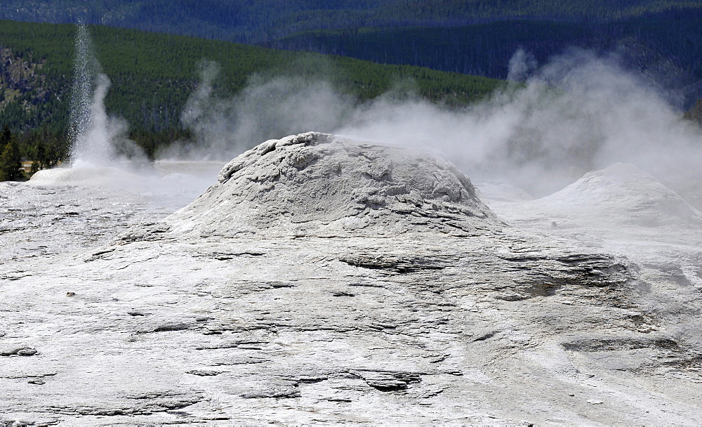 Lion Group Geyser, Upper Geyser Basin, geothermal springs in Yellowstone National Park, Wyoming, United States of America, USA