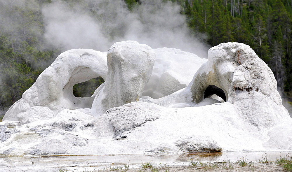 Grotto Geyser, Upper Geyser Basin, geothermal springs in Yellowstone National Park, Wyoming, United States of America, USA