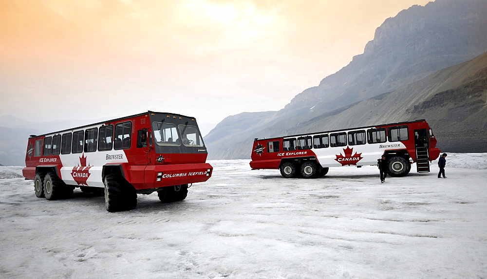 Brewster special bus, Ice Explorer Snowcoach, snowmobile for tourists to explore the glacier, at dusk, Athabasca Glacier, Columbia Icefield, Icefields Parkway, Jasper National Park, Canadian Rockies, Rocky Mountains, Alberta, Canada