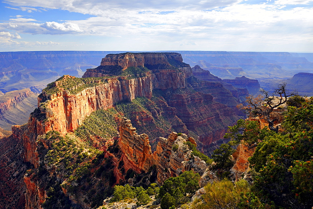 Evening mood, Grand Canyon North Rim, Cape Royal, Arizona, USA, America