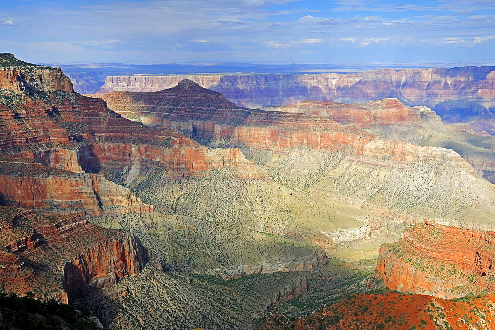 Evening mood, Grand Canyon North Rim, Cape Royal, Arizona, USA, America