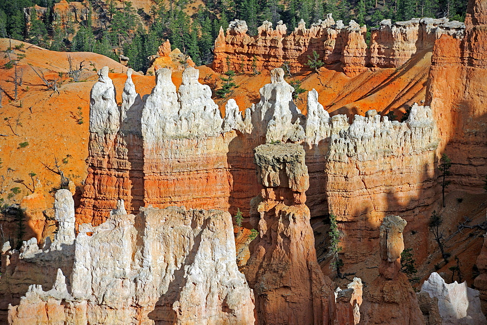 Rock formations and hoodoos in the evening, Bryce Canyon National Park, Sunset Point, Utah, USA, America