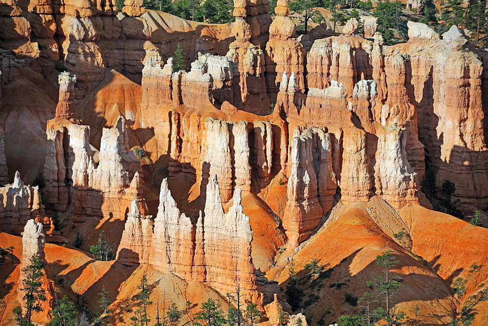 Rock formations and hoodoos in the evening, Bryce Canyon National Park, Sunset Point, Utah, USA, America