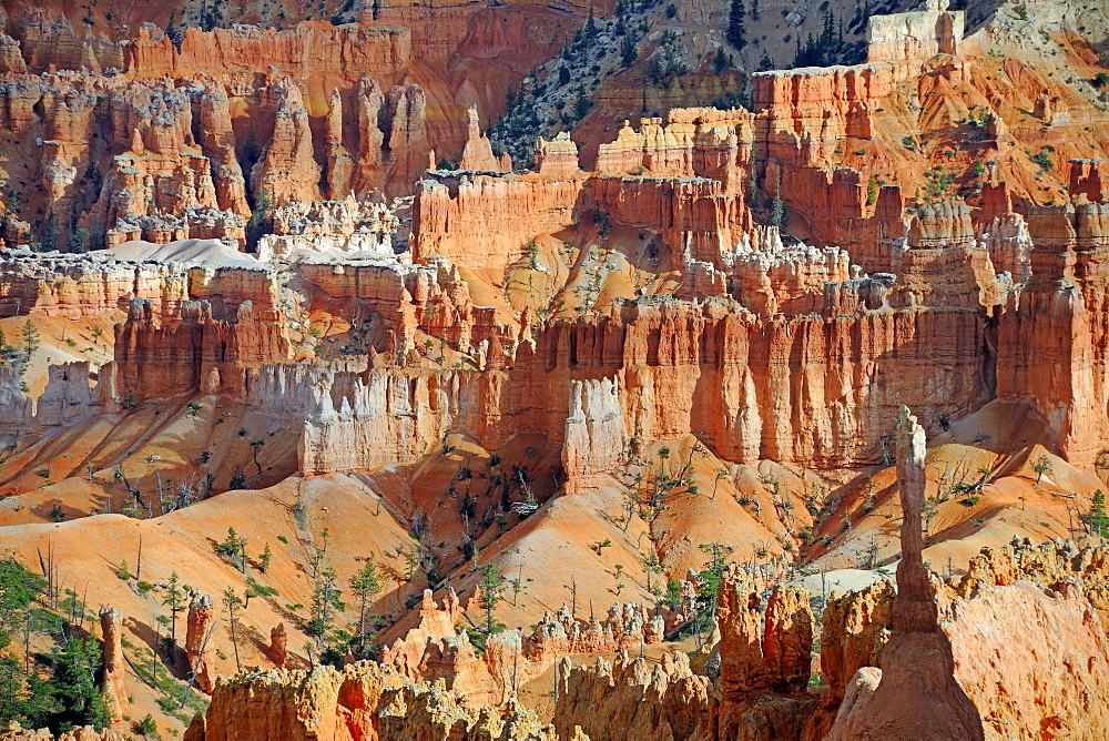 Rock formations and hoodoos in the evening, Bryce Canyon National Park, Sunset Point, Utah, USA, America