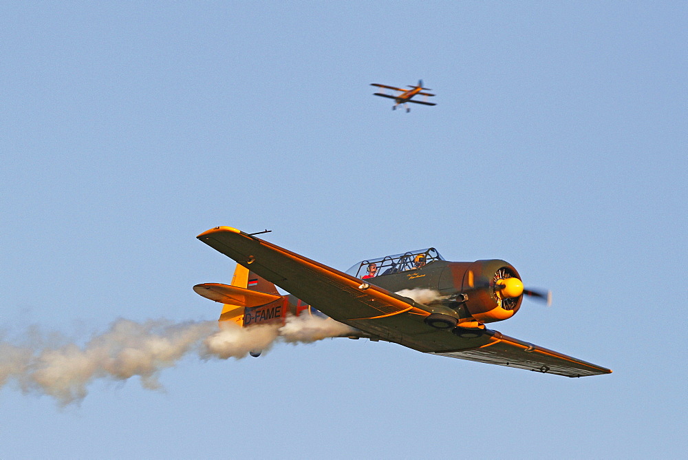 Vintage aircraft, North American Harvard T 6, Breitscheid Airshow 2010, Hesse, Germany, Europe