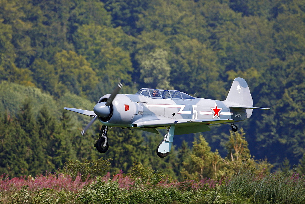 Vintage aircraft, Yakovlev Yak 52, Breitscheid Airshow 2010, Hesse, Germany, Europe