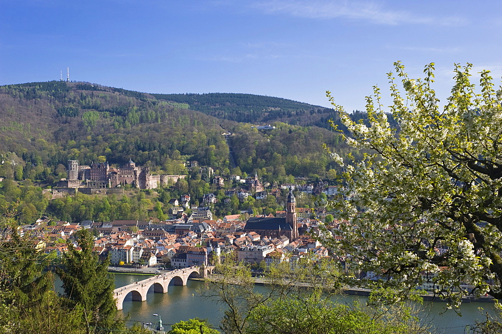 City view seen from Philosophers' Walk, Heidelberg, Neckar, Palatinate, Baden-Wuerttemberg, Germany, Europe