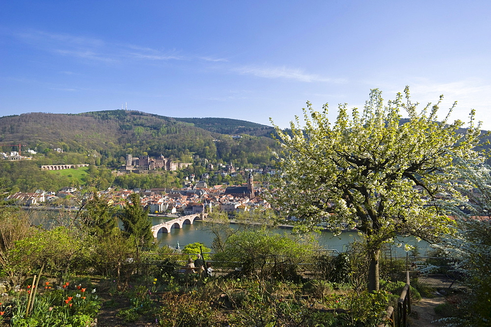 City view seen from Philosophers' Walk, Heidelberg, Neckar, Palatinate, Baden-Wuerttemberg, Germany, Europe